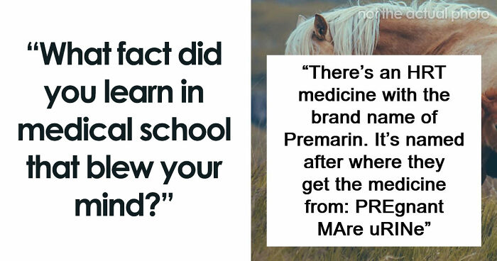 “Blew My Frickin’ Mind”: 46 Facts About The Human Body That Impressed Medical Students