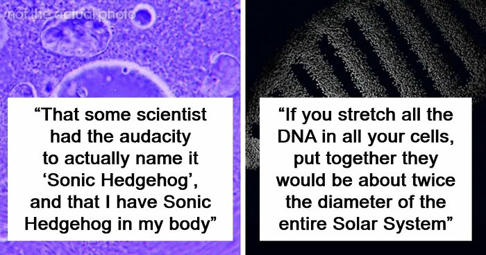 “Blew My Frickin’ Mind”: 46 Facts About The Human Body That Impressed Medical Students