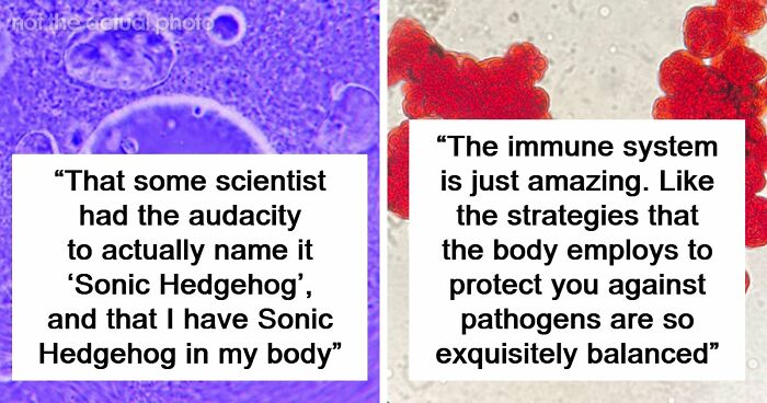“Blew My Frickin’ Mind”: 46 Facts About The Human Body That Impressed Medical Students