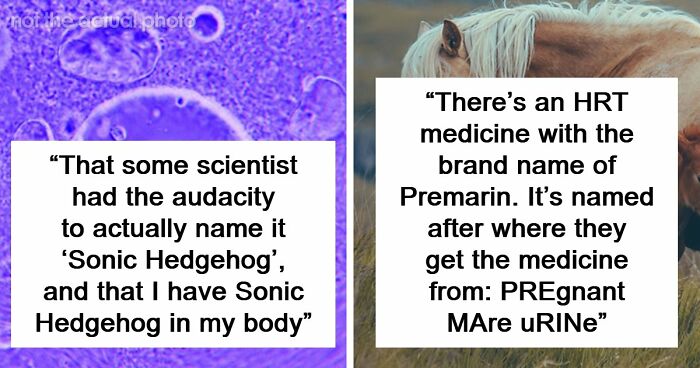 “Blew My Frickin’ Mind”: 46 Facts About The Human Body That Impressed Medical Students