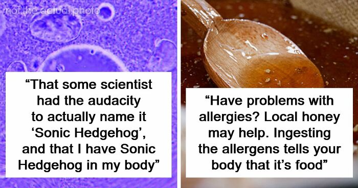 “Blew My Frickin’ Mind”: 46 Facts About The Human Body That Impressed Medical Students