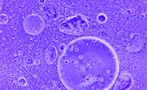 “Blew My Frickin’ Mind”: 46 Facts About The Human Body That Impressed Medical Students
