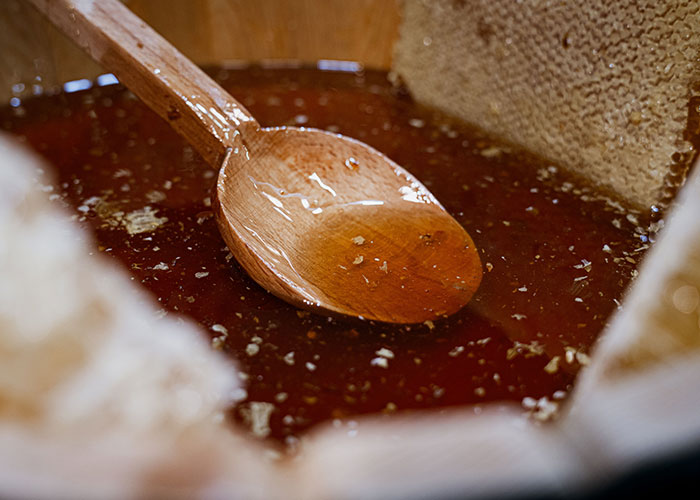 A wooden spoon rests in a pool of honey and beeswax, illustrating interesting facts about the human body.