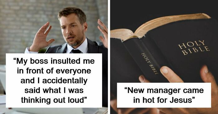 48 Boss Stories So Infuriating They Might Make You Quit Your Job
