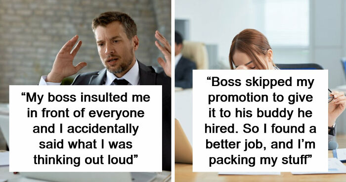 48 Boss Stories So Infuriating They Might Make You Quit Your Job