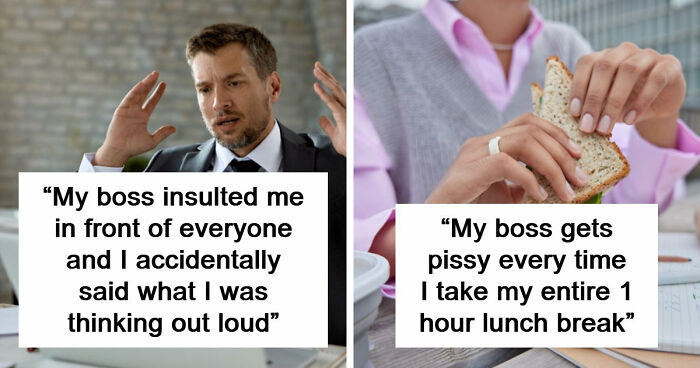 48 Boss Stories So Infuriating They Might Make You Quit Your Job
