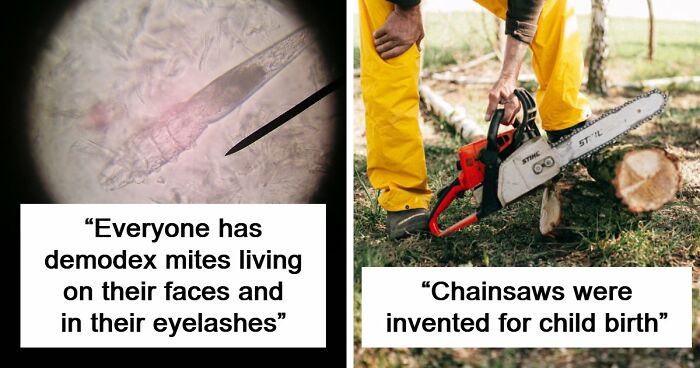50 Disturbing Facts That Completely Changed The Way People See The World