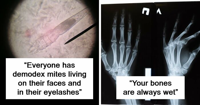 50 Disturbing Facts That Completely Changed The Way People See The World