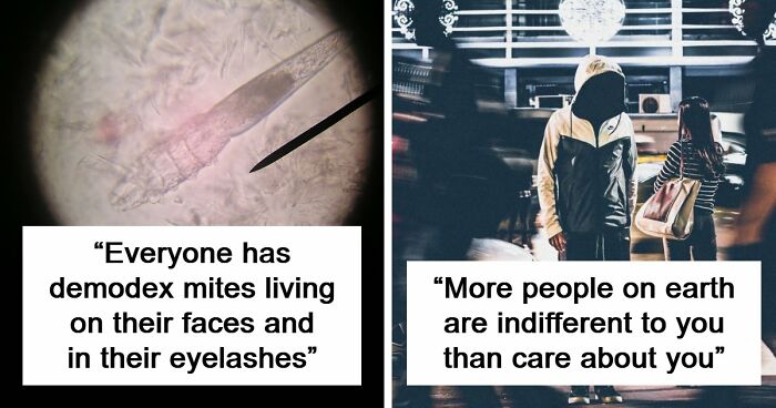 50 Disturbing Facts That Completely Changed The Way People See The World