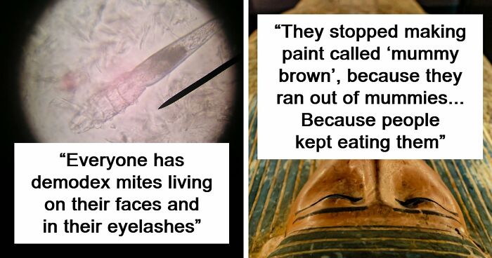 50 Disturbing Facts That Completely Changed The Way People See The World