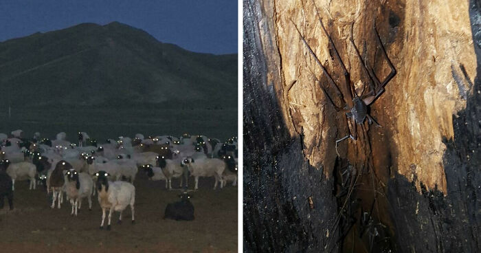 33 Nature Photos To Make You Reconsider Every Outdoor Plan You Have Ever Made