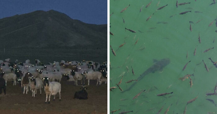 33 Nature Photos To Make You Reconsider Every Outdoor Plan You Have Ever Made