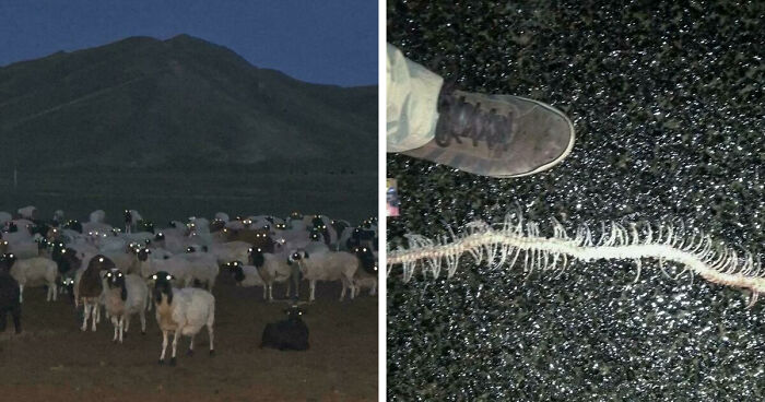 33 Nature Photos To Make You Reconsider Every Outdoor Plan You Have Ever Made