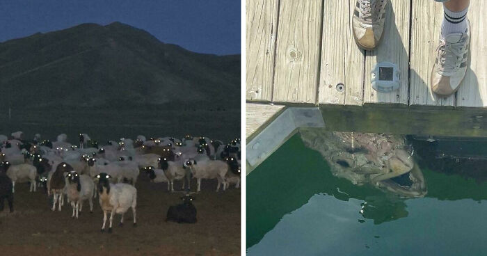 33 Nature Photos To Make You Reconsider Every Outdoor Plan You Have Ever Made