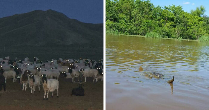 33 Nature Photos To Make You Reconsider Every Outdoor Plan You Have Ever Made