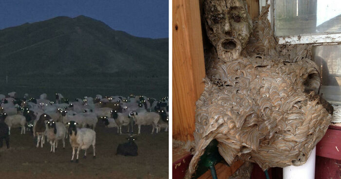 33 Nature Photos To Make You Reconsider Every Outdoor Plan You Have Ever Made