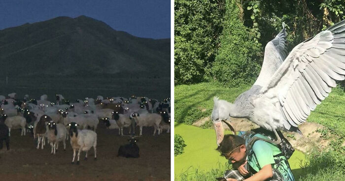 33 Nature Photos To Make You Reconsider Every Outdoor Plan You Have Ever Made