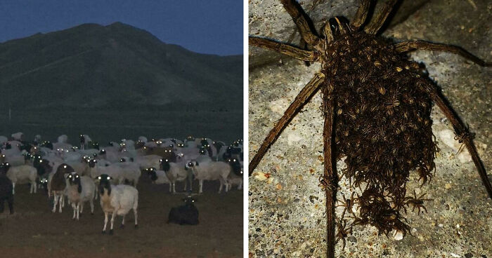 33 Nature Photos To Make You Reconsider Every Outdoor Plan You Have Ever Made