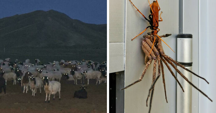 33 Nature Photos To Make You Reconsider Every Outdoor Plan You Have Ever Made