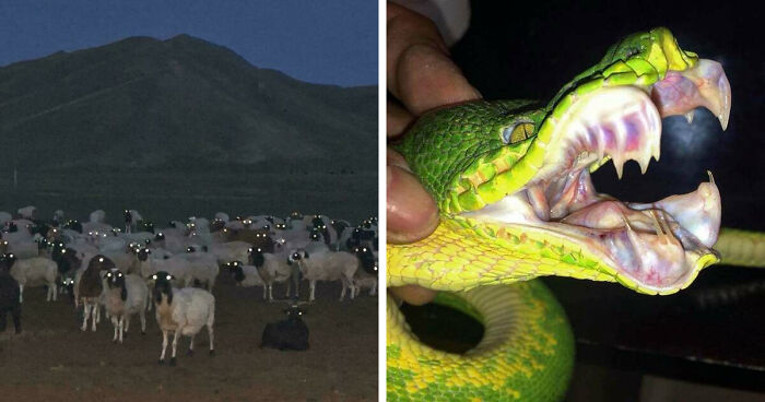 33 Nature Photos To Make You Reconsider Every Outdoor Plan You Have Ever Made