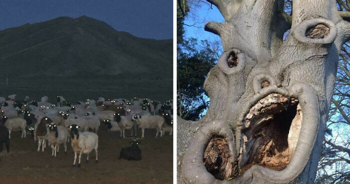 33 Nature Photos To Make You Reconsider Every Outdoor Plan You Have Ever Made