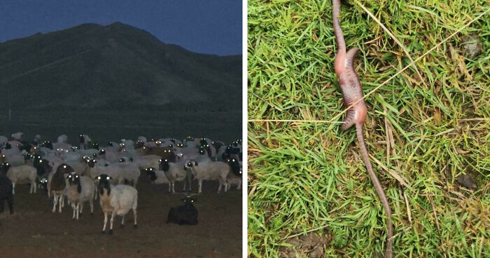 33 Nature Photos To Make You Reconsider Every Outdoor Plan You Have Ever Made