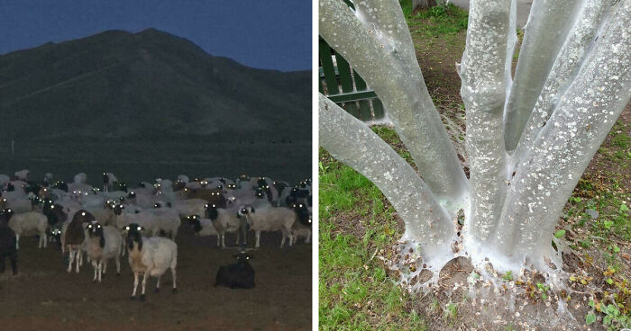 33 Nature Photos To Make You Reconsider Every Outdoor Plan You Have Ever Made