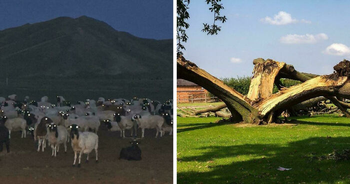 33 Nature Photos To Make You Reconsider Every Outdoor Plan You Have Ever Made