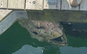 33 Times Nature Decided To Be Its Terrifying Self, And People Weren’t Prepared For What They Saw