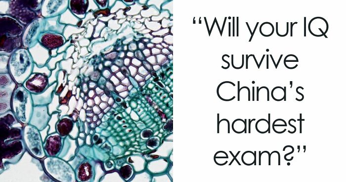 “Could You Outscore A Chinese Student?”: Take The World’s Hardest Exam And Find Out