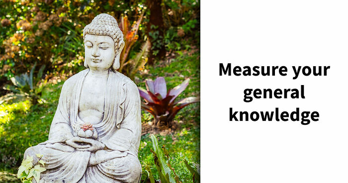 From Math To Geography: 26 Three-Letter Answer Questions To Measure Your General Knowledge