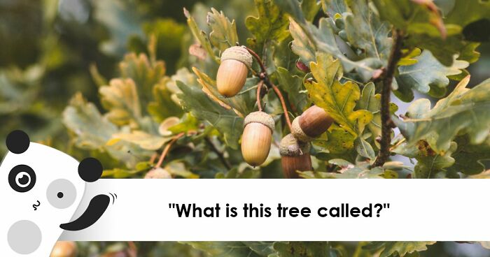 From Math To Geography: 26 Three-Letter Answer Questions To Measure Your General Knowledge
