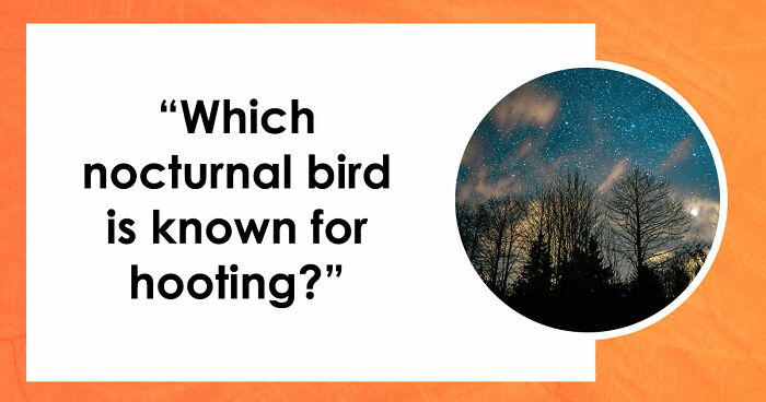 From Math To Geography: 26 Three-Letter Answer Questions To Measure Your General Knowledge
