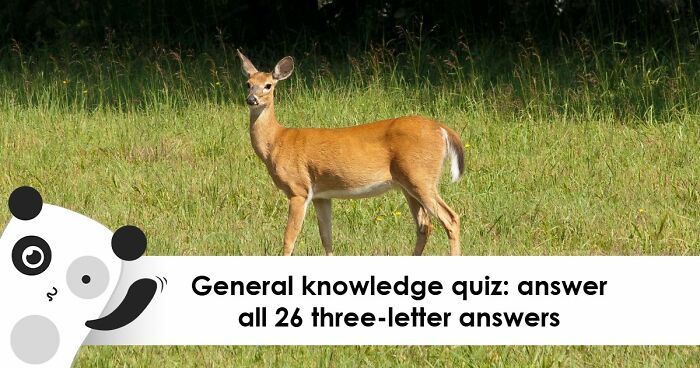 From Math To Geography: 26 Three-Letter Answer Questions To Measure Your General Knowledge