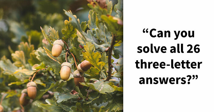 From Math To Geography: 26 Three-Letter Answer Questions To Measure Your General Knowledge