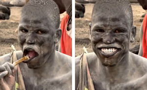 People Are Swapping Toothpaste For African Twig In Search Of A White Smile, Experts Reveal The Truth