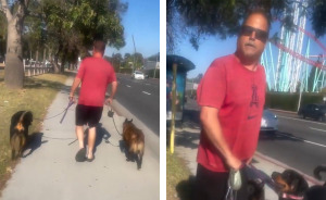 Cyclist Karen Tries To Shame Man Just For Walking His Dogs On The Sidewalk, But It Epically Backfires
