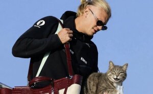 After Erling Haaland Went Viral Arriving In Norway With A Racoon In His Arms, These Memes Stole The Show