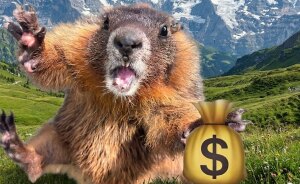 Professor Speaks Out After Turning To Adult Content Platform To Fund Marmot Studies, Going Viral
