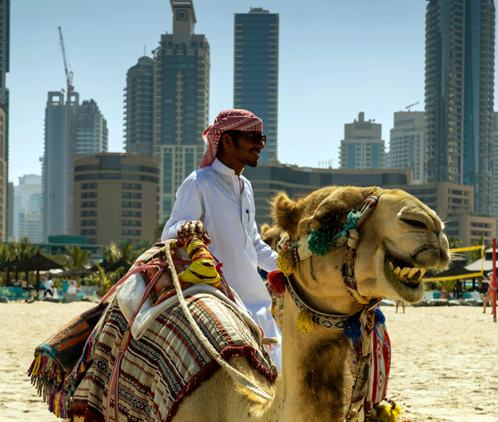 A man riding a camel on a beach with a city skyline, contrasting approaches to working in the heat worldwide.