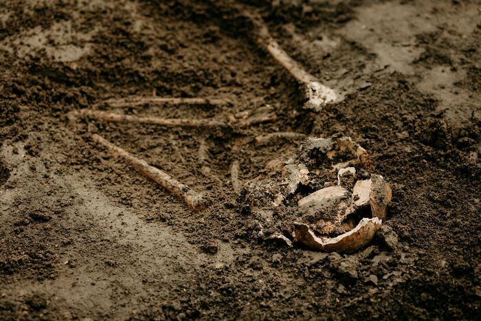 Curious facts about an unearthed skeleton, making you feel smarter with new pics.