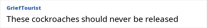 Screenshot of an online comment about the two friends who became known across the nation near Britains railway stations.