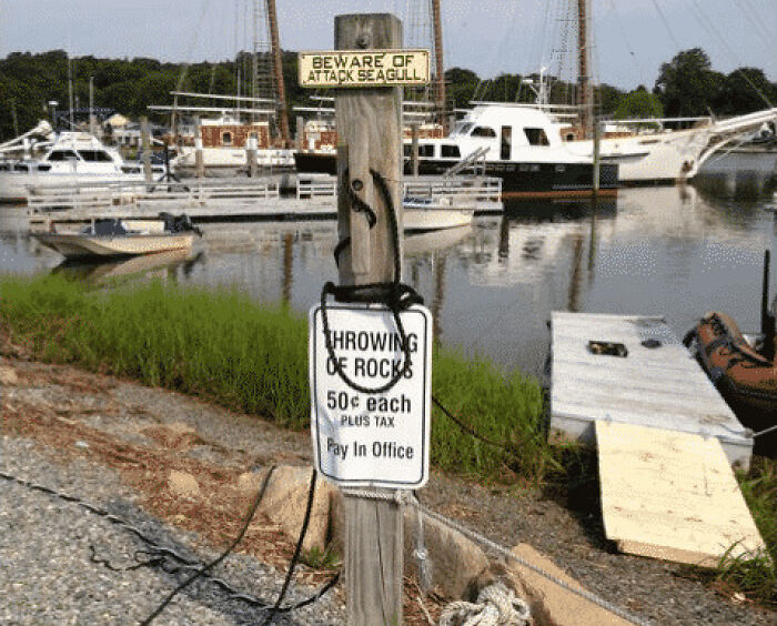 A Beware of Attack Seagull sign and Throwing of Rocks sign at a USA boat dock with boats. Photos of the USA.