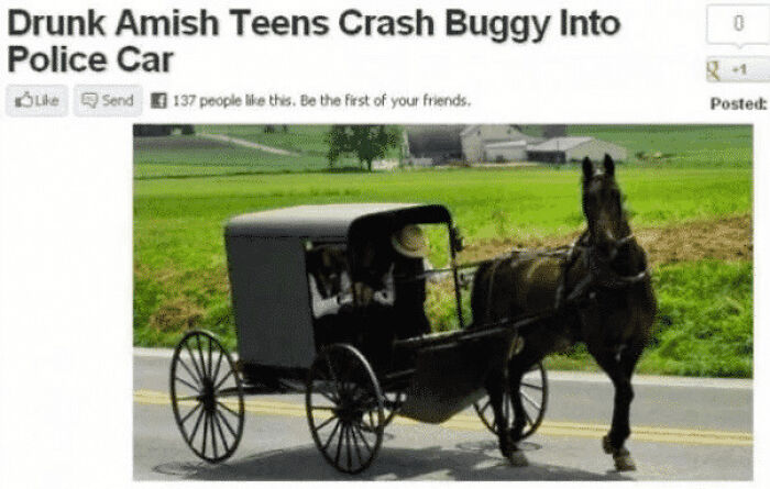 A news headline and image of an Amish buggy pulled by a horse, illustrating a fascinating and different photo of the USA.