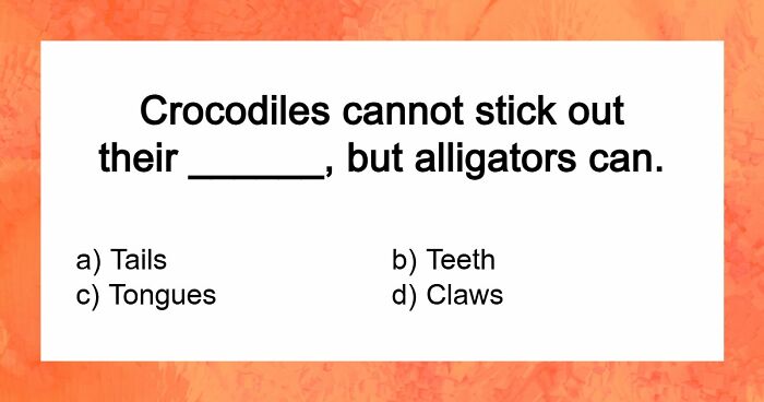 “Can You Outsmart These Useless Facts?”: Ace This 20-Question Weird General Knowledge Quiz