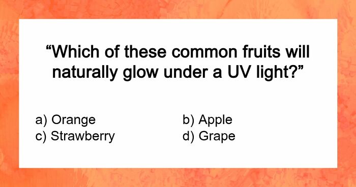“Can You Outsmart These Useless Facts?”: Ace This 20-Question Weird General Knowledge Quiz