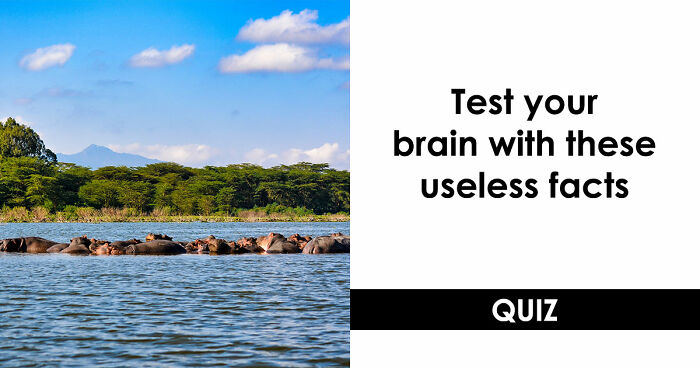 “Can You Outsmart These Useless Facts?”: Ace This 20-Question Weird General Knowledge Quiz