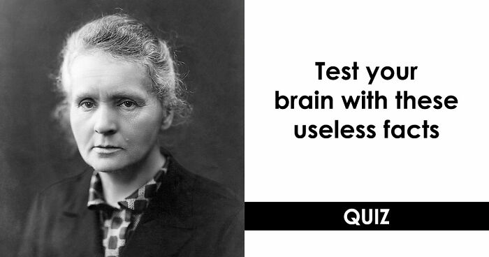 “Can You Outsmart These Useless Facts?”: Ace This 20-Question Weird General Knowledge Quiz