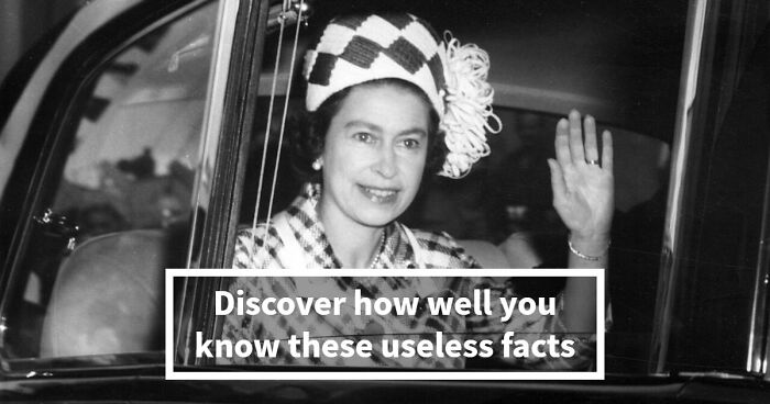 “Can You Outsmart These Useless Facts?”: Ace This 20-Question Weird General Knowledge Quiz
