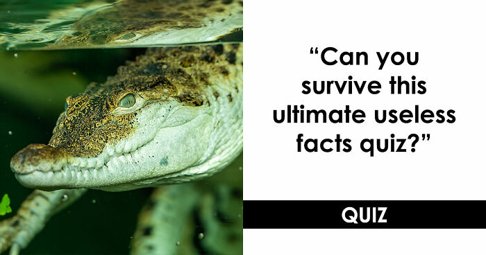 “Can You Outsmart These Useless Facts?”: Ace This 20-Question Weird General Knowledge Quiz